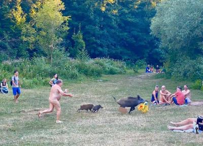 شوخی طبیعت با طبیعت گرد آلمانی ، مرد برهنه به دنبال گراز می دود