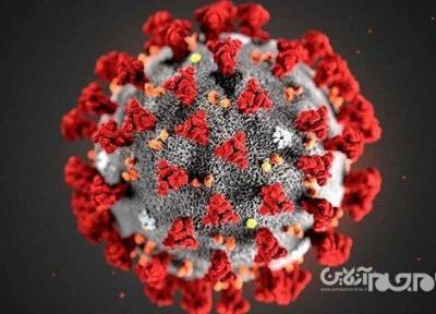 یک سال پس از دنیاگیری، علم چگونه ویروس کرونا را شکست داد؟؛ قسمت اول