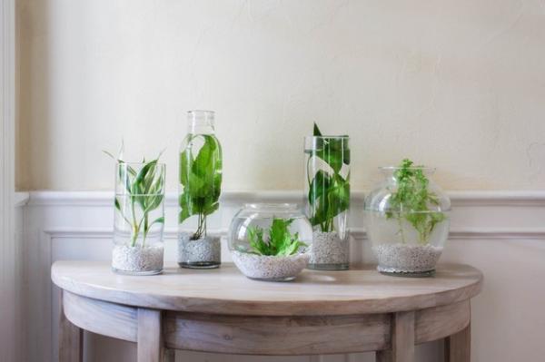 باغچه آبی آپارتمانی: معرفی گیاهان مناسب و ایده هایی برای آغاز (طراحی داخل ویلا دوبلکس)