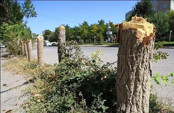 درخت قطع می نمایند و از جیب دولت خسارتش را می دهند ، باید قوانین بازدارنده نو وضع کنیم