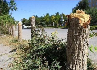 درخت قطع می نمایند و از جیب دولت خسارتش را می دهند ، باید قوانین بازدارنده نو وضع کنیم
