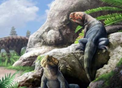 کشف یک گونه نو از هیولاهای باستانی 250 میلیون ساله ، همکاری دانشمندان و بومیان منطقه